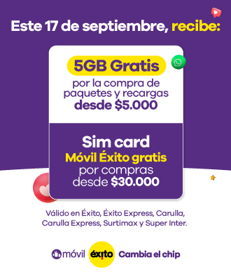 Legales Toma 17 de septiembre