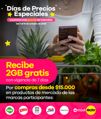 Legales DXC Marcas Propias DDPE 2024